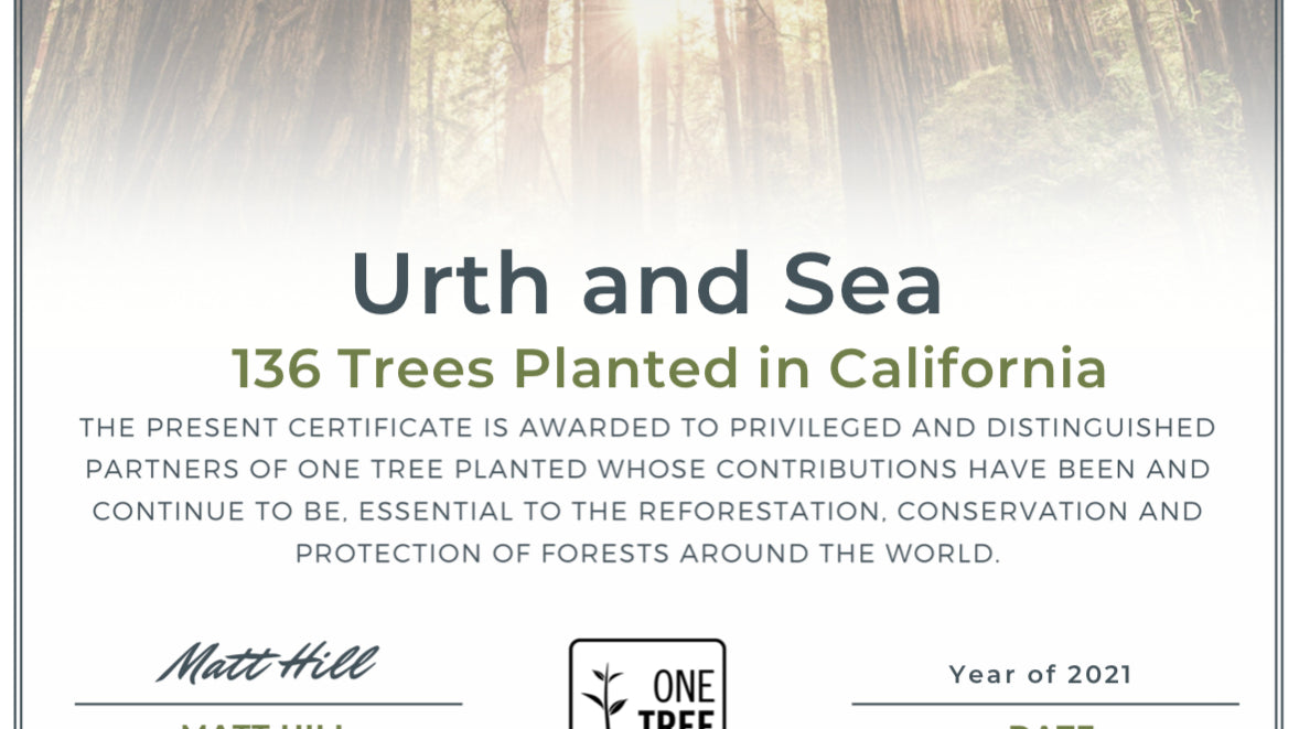 Trees Planted in 2021