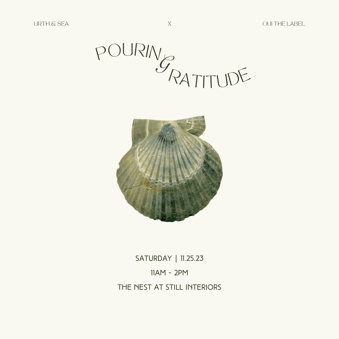 Pouring Gratitude | An Intentional Shell Candle Workshop
