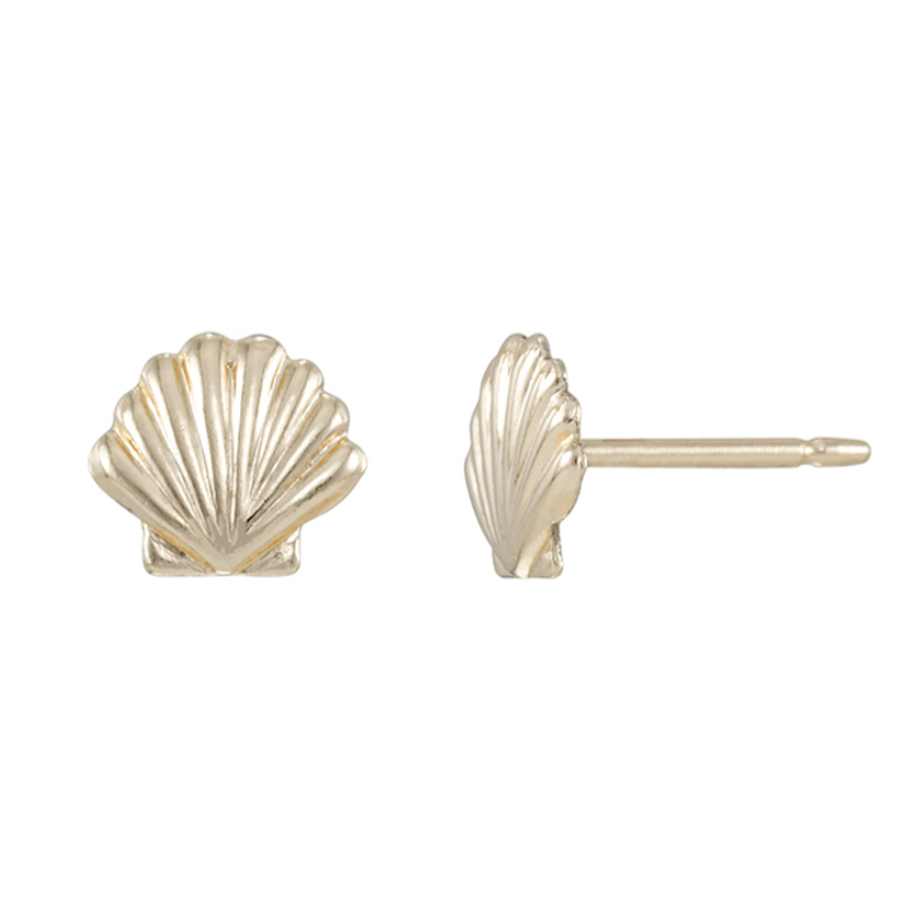 Seashell Studs